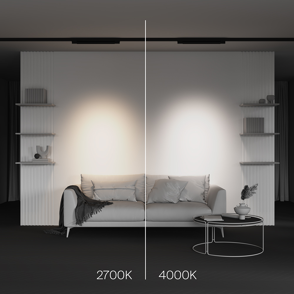 Трековый трехфазный светильник Maytoni Points TR195-3-20W2.7K-M-B