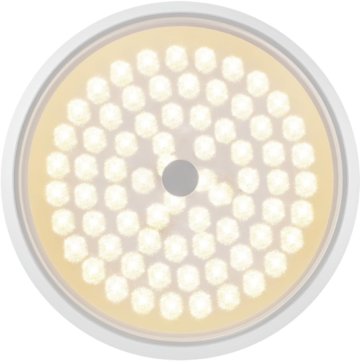 Потолочный светильник Freya Cells FR10012CL-L24W