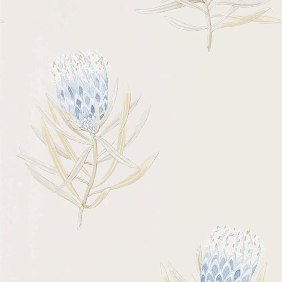 Обои Sanderson DART216327 China Blue/Canvas Protea Flower