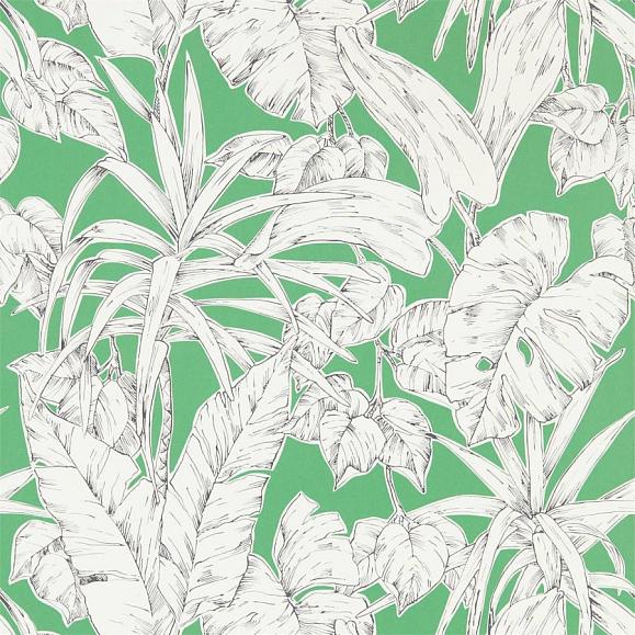 Обои Scion 112024 Parlour Palm Gecko