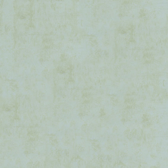 B1181106