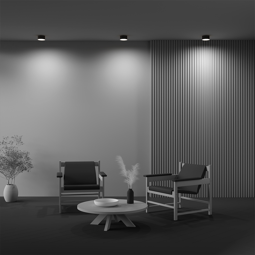 Потолочный светодиодный светильник Maytoni Technical Ceiling & Wall Zon C032CL-12W3K-RD-B