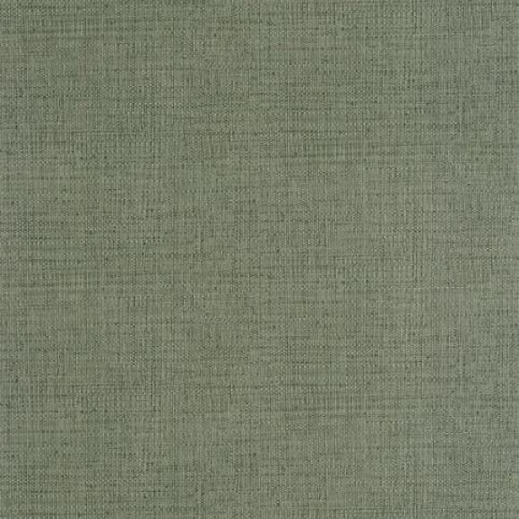 Обои Caselio 105977206 Raphia Vert mousse