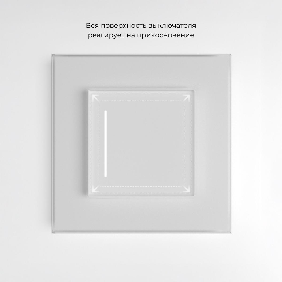 Сенсорный выключатель одноклавишный с подсветкой Werkel 4690389197932 W4512001 a063597