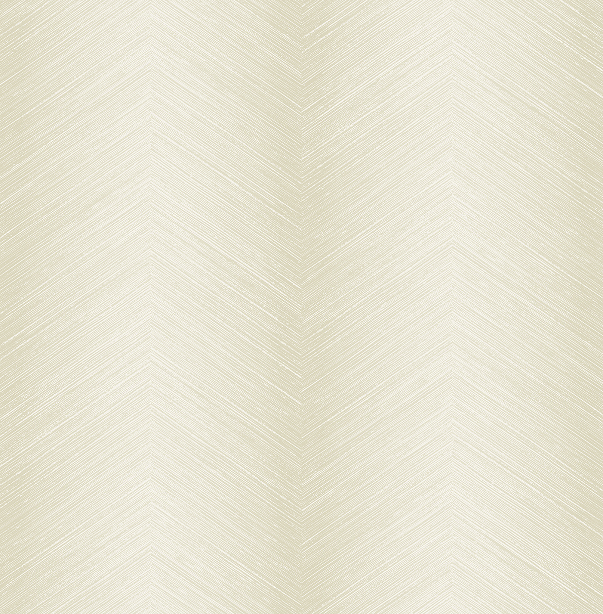 TP81502