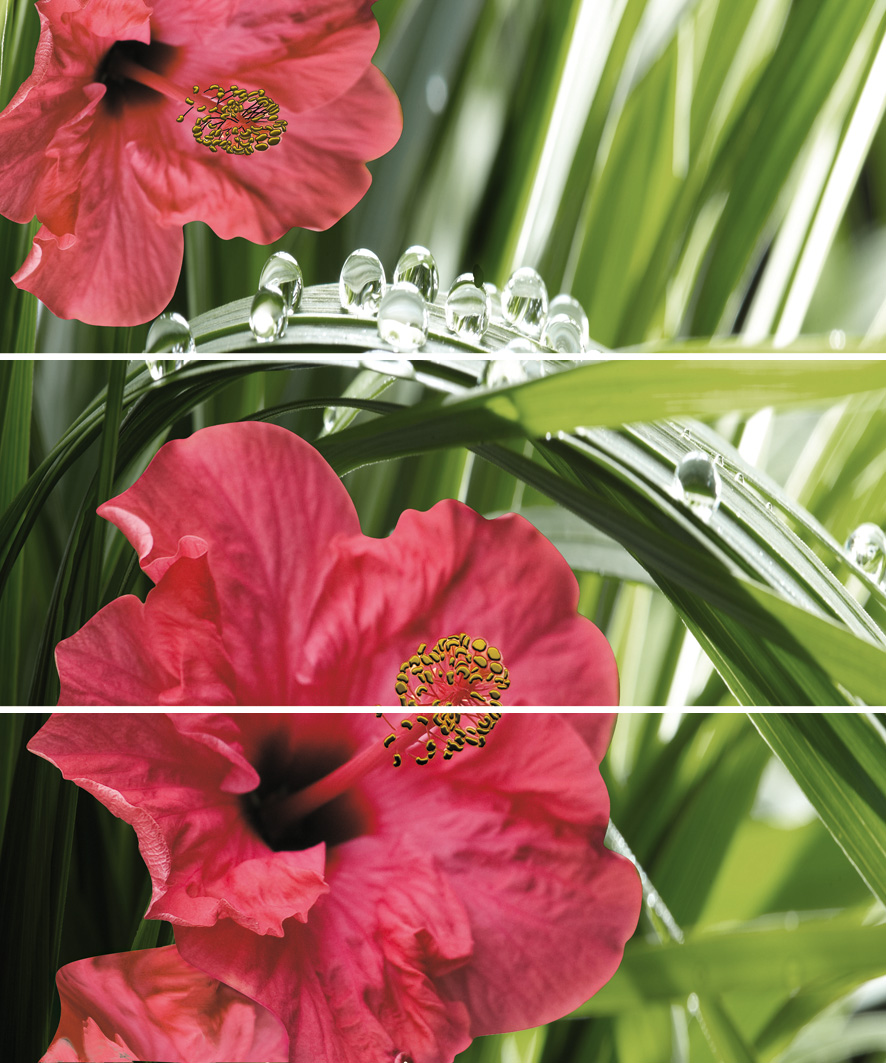 Hibiskus-3 (панно)