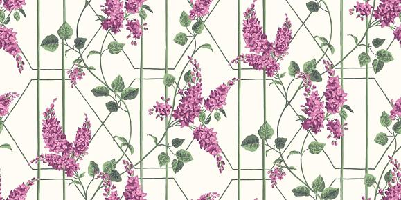 Обои Cole & Son 115/5013 Wisteria