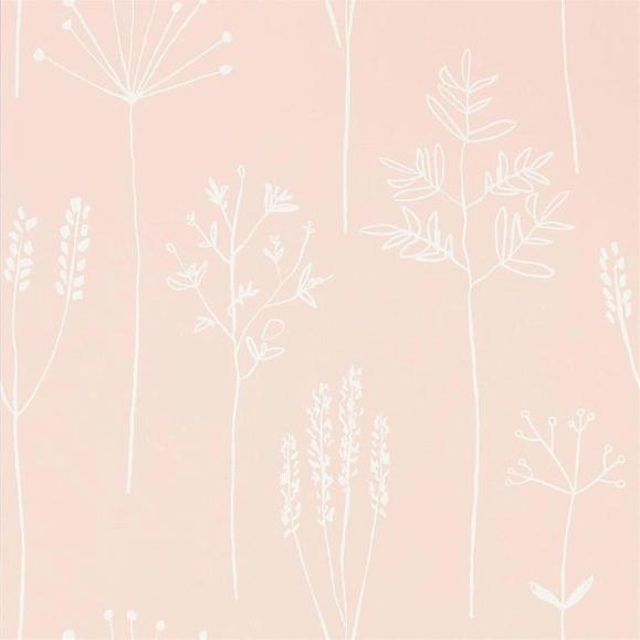 Обои Scion 112018 Stipa Blush