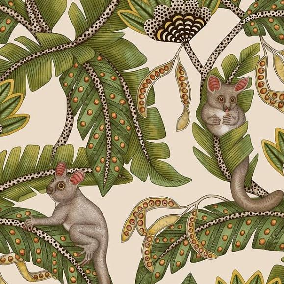Обои Cole & Son 119/7032 Bush Baby