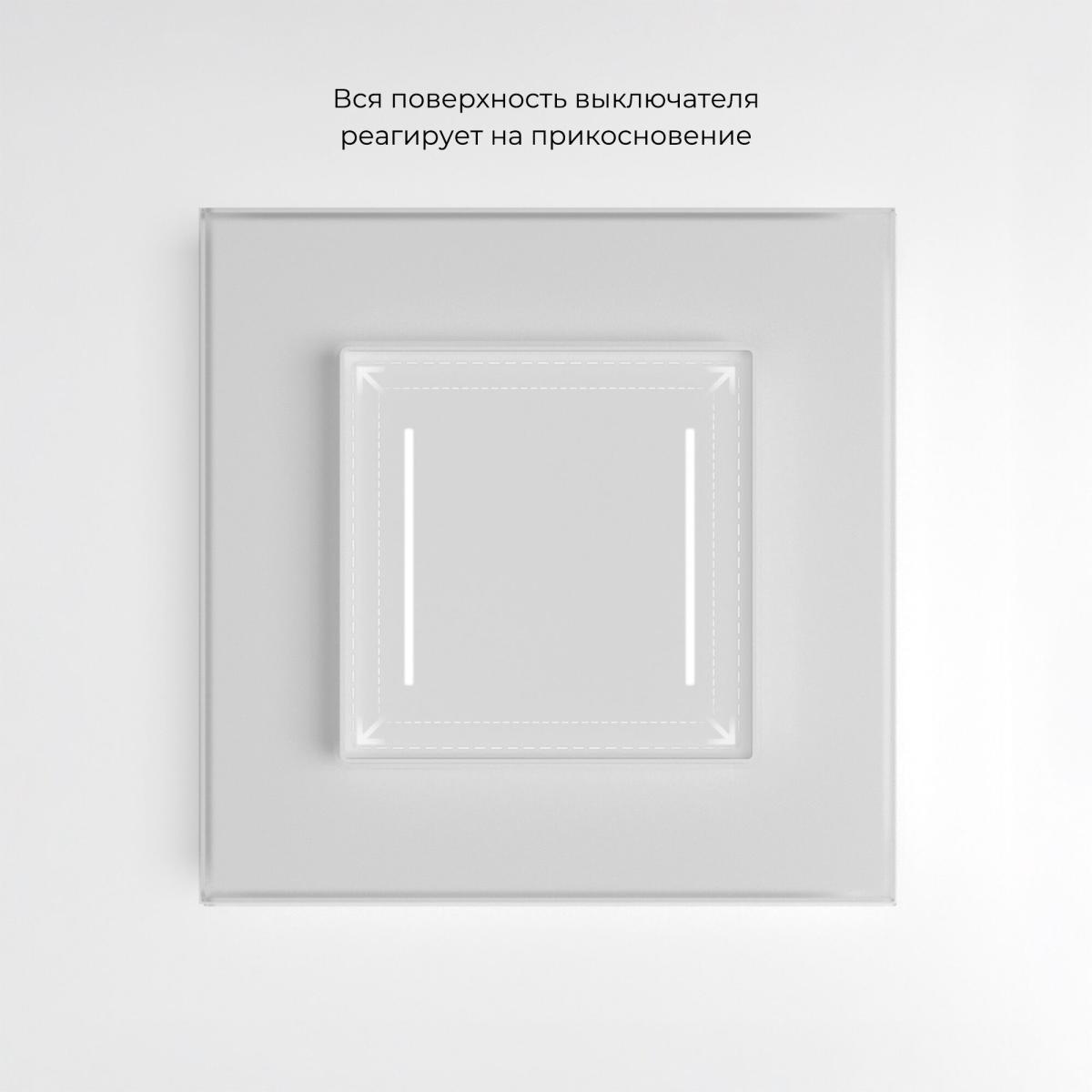Сенсорный выключатель двухклавишный с подсветкой Werkel 4690389198021 W4522001 a063598
