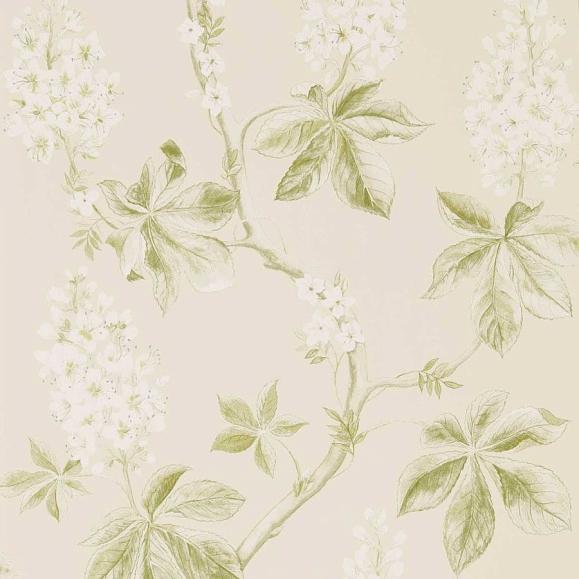 Обои Sanderson DWOW215707 Lemon/Lettuce Chestnut Tree