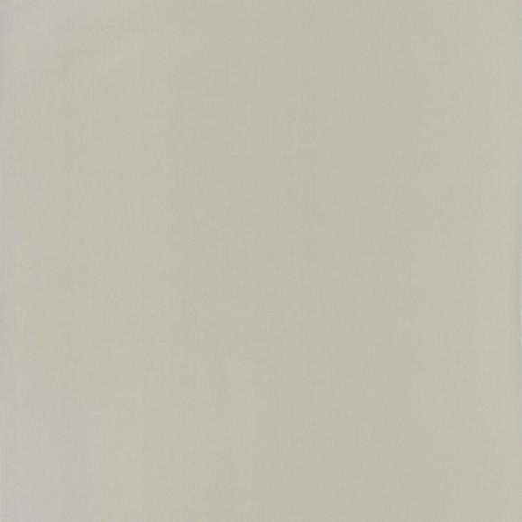 Обои Casadeco RONI29691115 Uni Beige