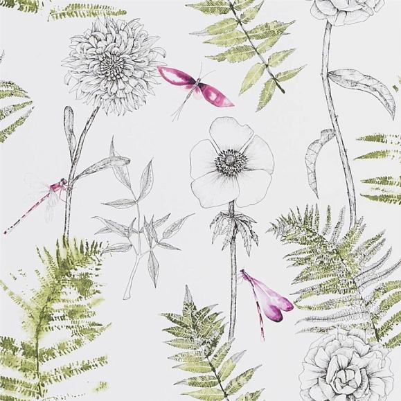 Обои Designers guild PDG1022/04 Acanthus Moss