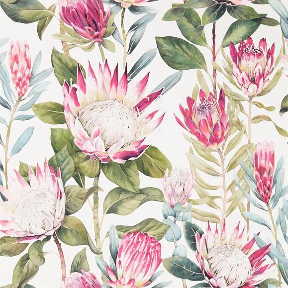 Обои Sanderson 216646 King Protea Rhodera/Cream
