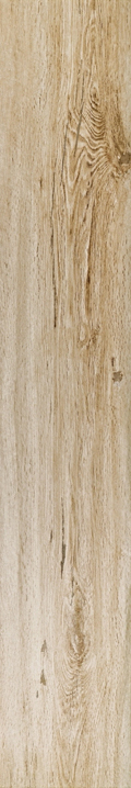 Root Vaniglia