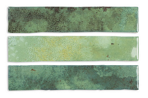 DNA ENAMEL Moss