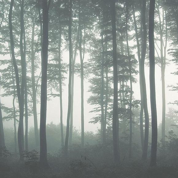 Панно Hygge Wall H10011 Mystic Fog