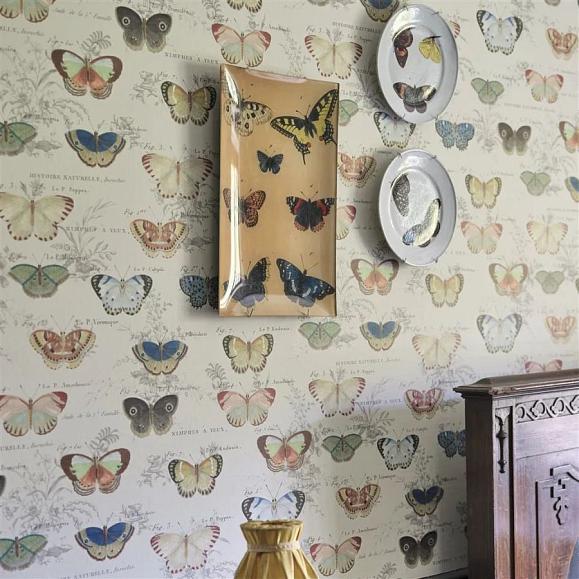 Обои John Derian PJD6017/01 Butterfly Studies Parchment