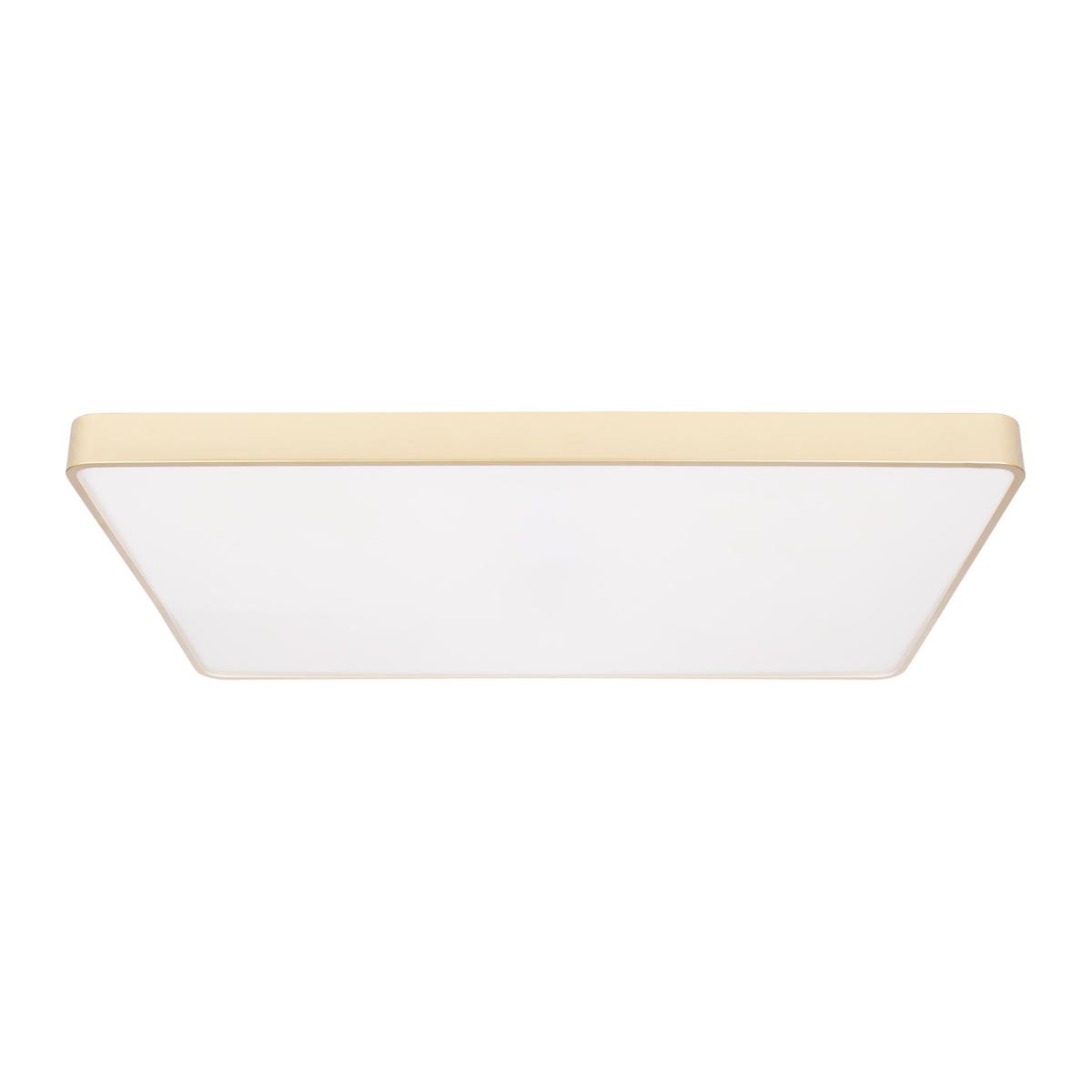Потолочный светильник Loft IT Flims 10228/E
