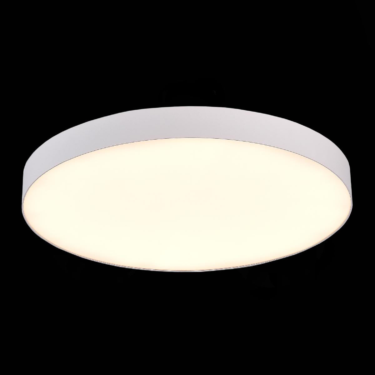 Потолочный светильник ST Luce ST606.532.96