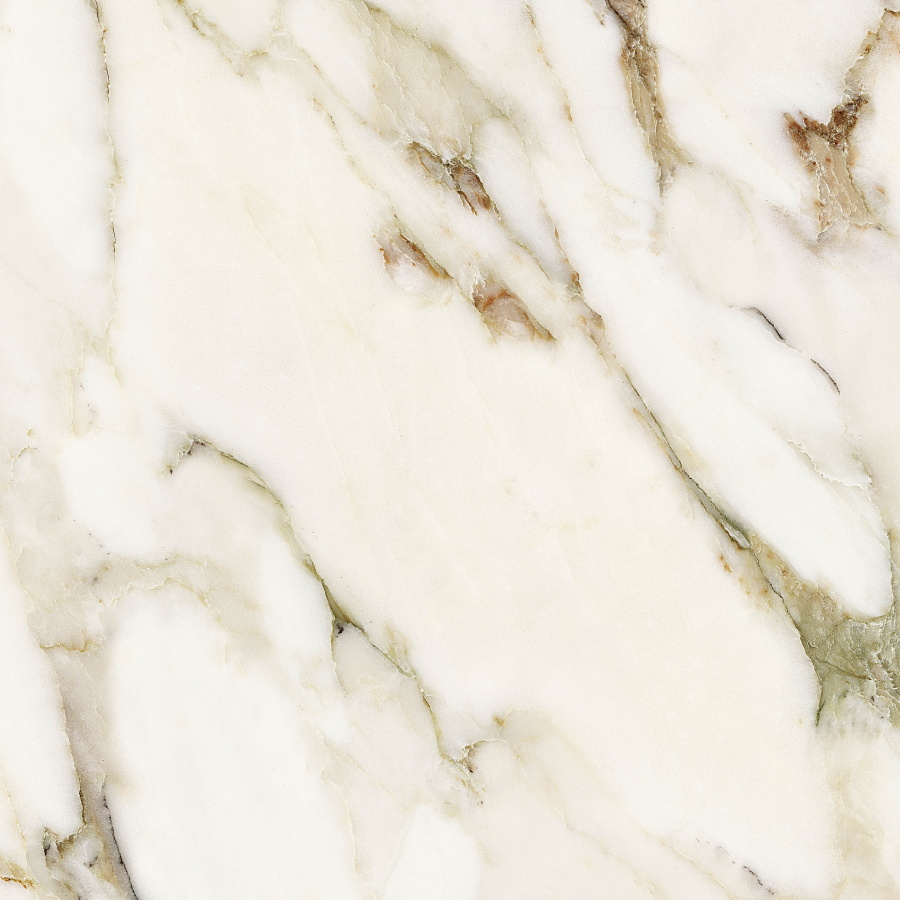 Calacatta Venato Polished CV20249