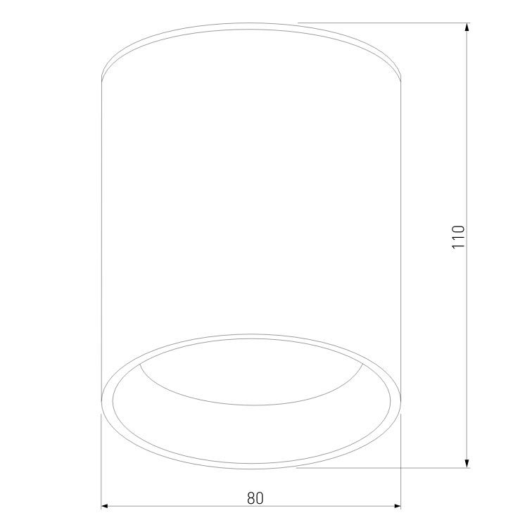 Уличный потолочный светильник Elektrostandard Light LED 4690389177002