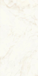 ATLAS CONCORDE MARVEL SHINE Calacatta Delicato Silk
