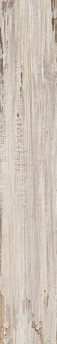 TRIBECA MIEL 20х120