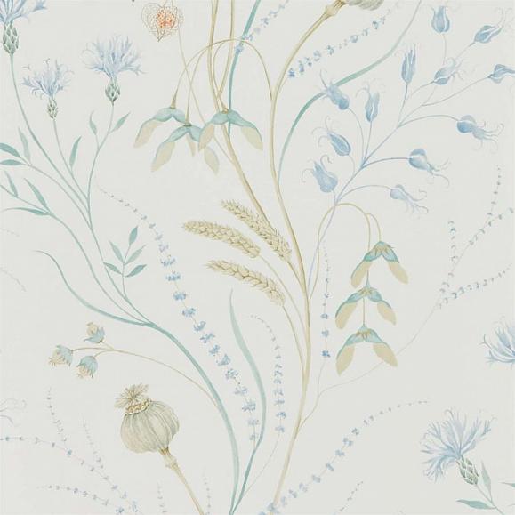Обои Sanderson 216496 Summer Harvest Cornflower/Wheat