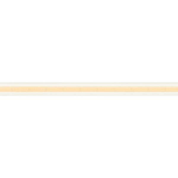 Светодиодная лента герметичная Arlight COB-PL90-X544-12mm 24V Warm3000 032178(2)