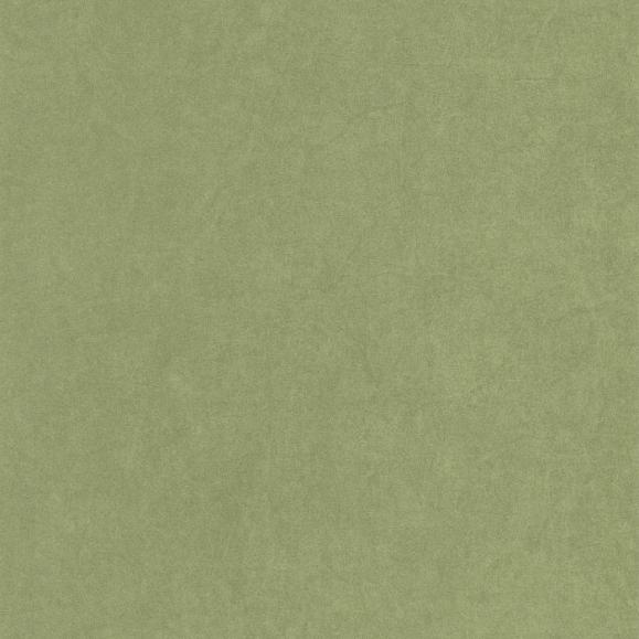 Обои Casadeco 82387512 Florescence Kiosque Vert Cactus