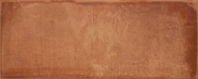 Плитка MONTBLANC BROWN RG BRILLO 20x50 см
