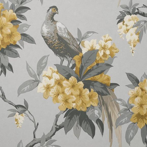 Обои Aura Signature M1662 Golden Pheasant