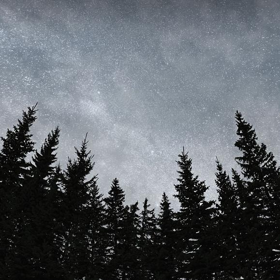 Панно Ortograf 33591 Звездная ночь