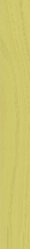 41zero42 TECHNICOLOR Lemon