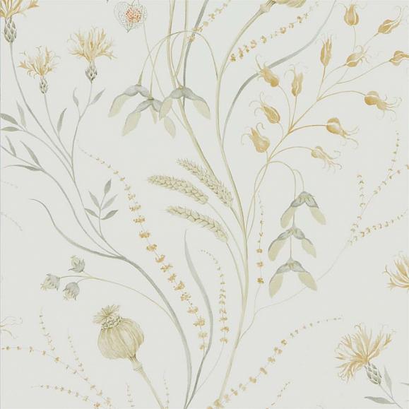 Обои Sanderson 216497 Summer Harvest Silver Corn