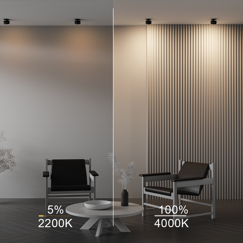 Встраиваемый спот Maytoni Onda DL024-12W-DTW-B
