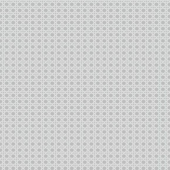 Обои Paper&Ink BL70908 Wicker Navy