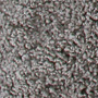 Ковровое покрытие Coco 865