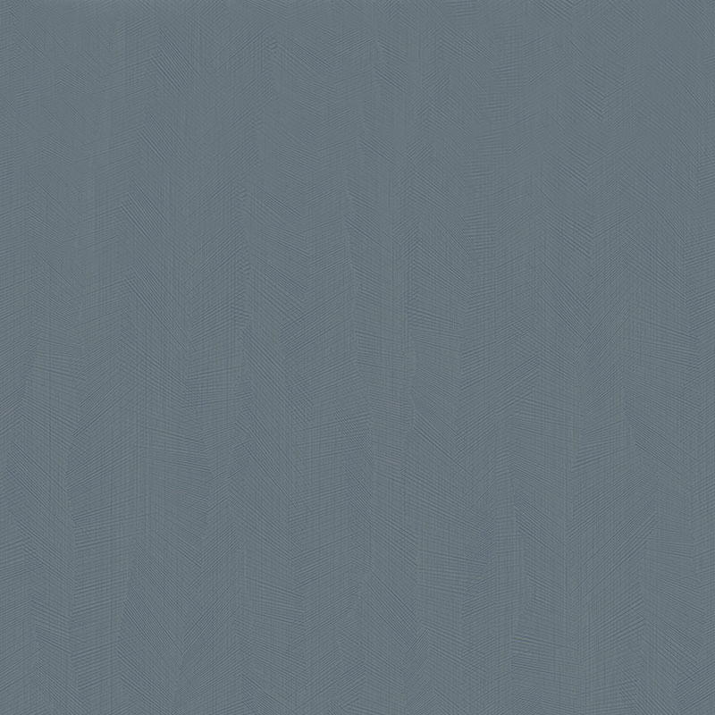 Z54546