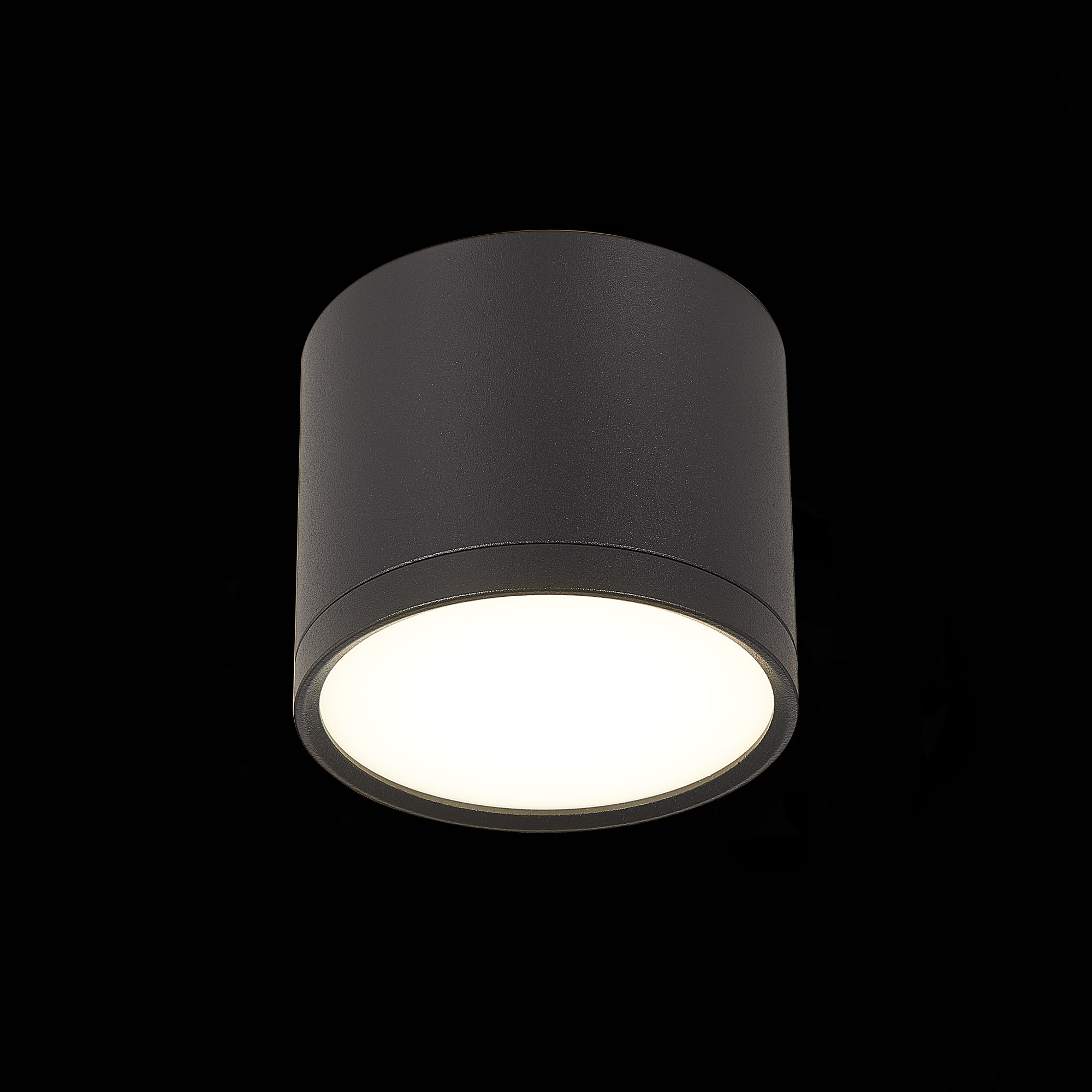 Потолочный светильник ST Luce Rene ST113.442.09