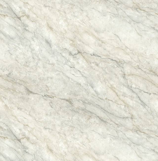 RH21305