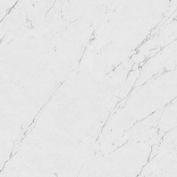 Marvel Carrara Pure 60x60