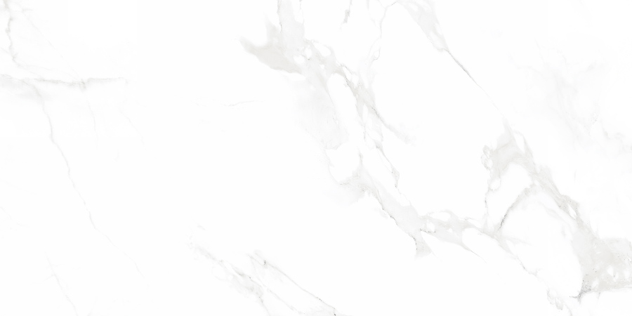 Venus Bianco Polished N12003