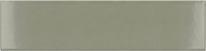 Tansy Green Glossy