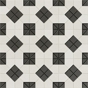 TESSERAE Suit B&W