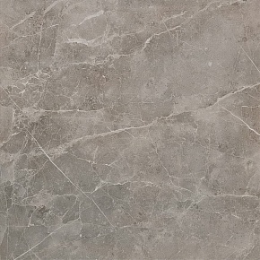 Marvel Grey Fleury 60x60 Satin