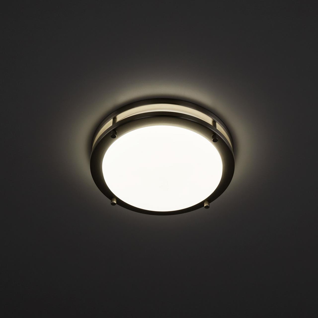 Настенно-потолочный светильник Citilux Бостон CL709201N