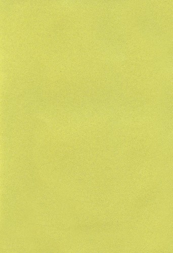 POLISTOF_418_