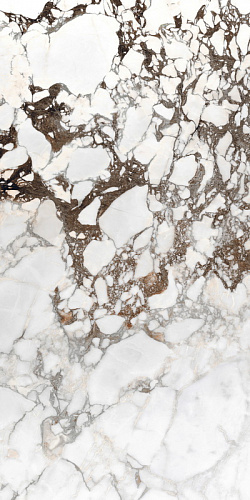 BIJOUX BRECHE CAPRAIA GLOSSY 60X120 RETT